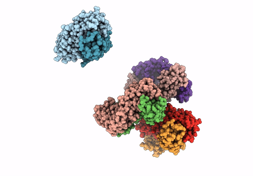 3J2Y image