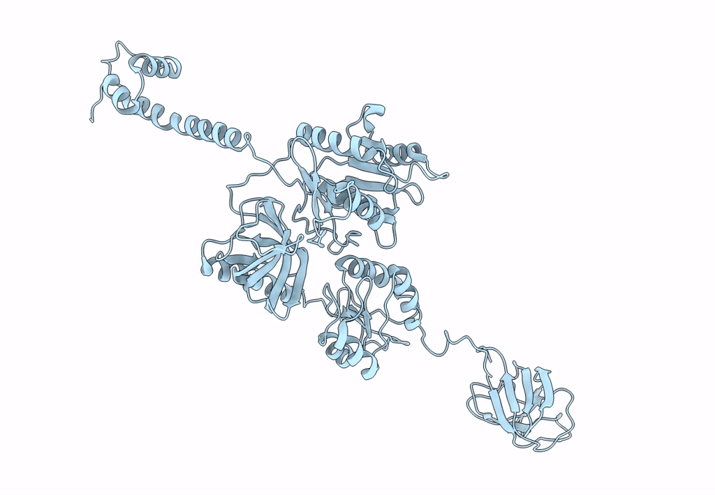 3J4J image