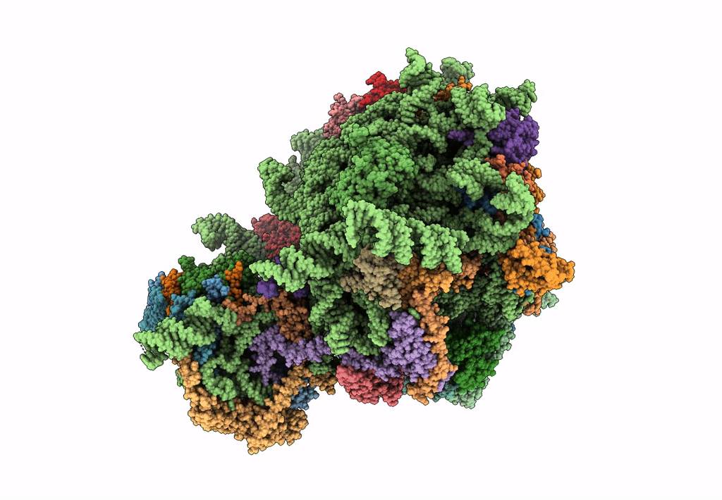 3J6B image