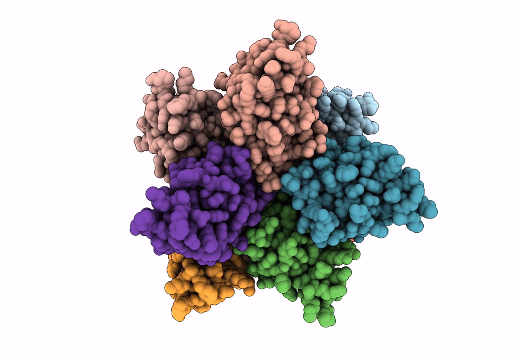 3J6J image