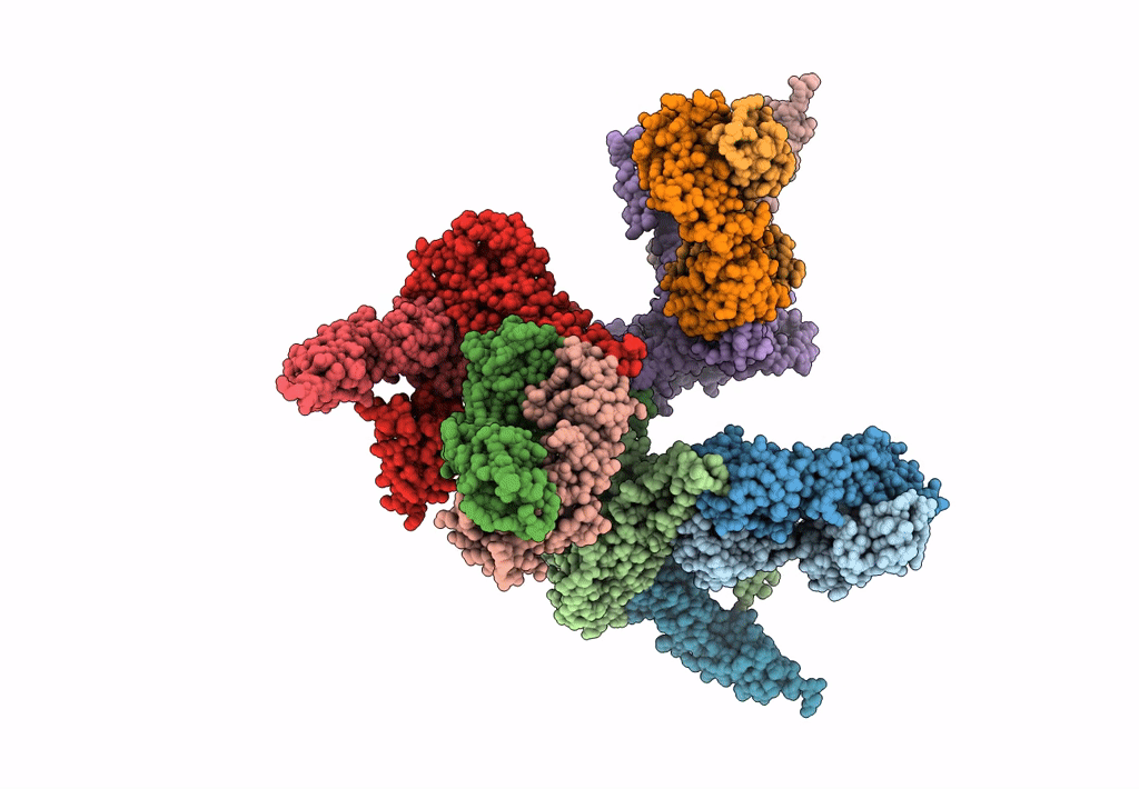 3J70 image