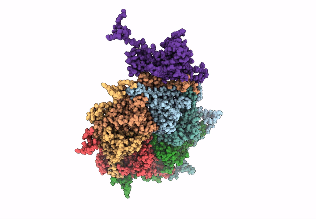 3J7X image