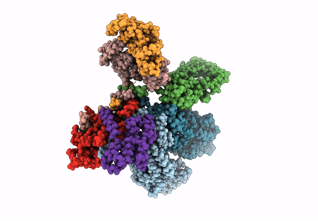 3J8C image