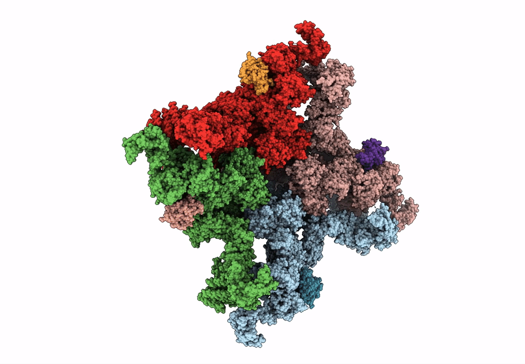 3J8H image