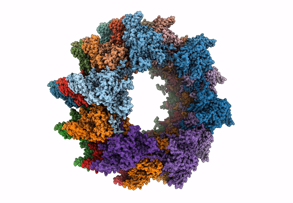 3J9G image