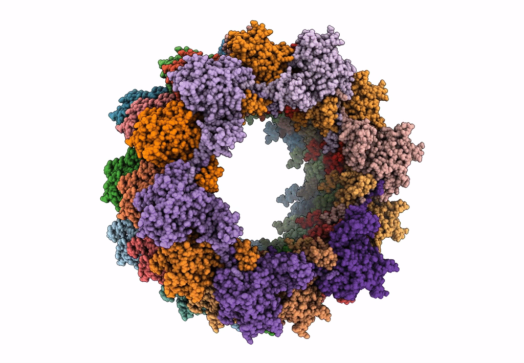3J9R image