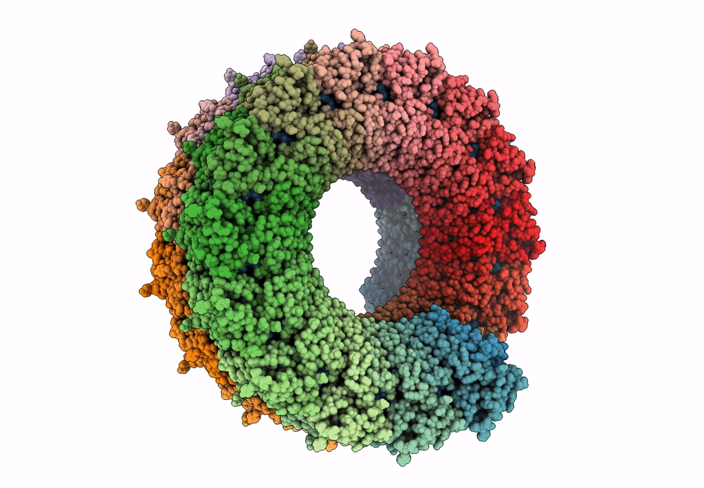 3J9X image