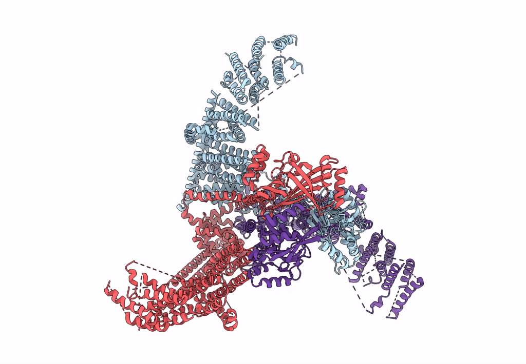 3JAC image