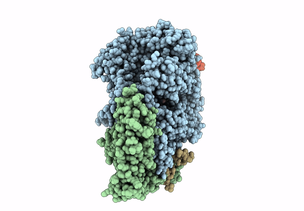 3JB7 image