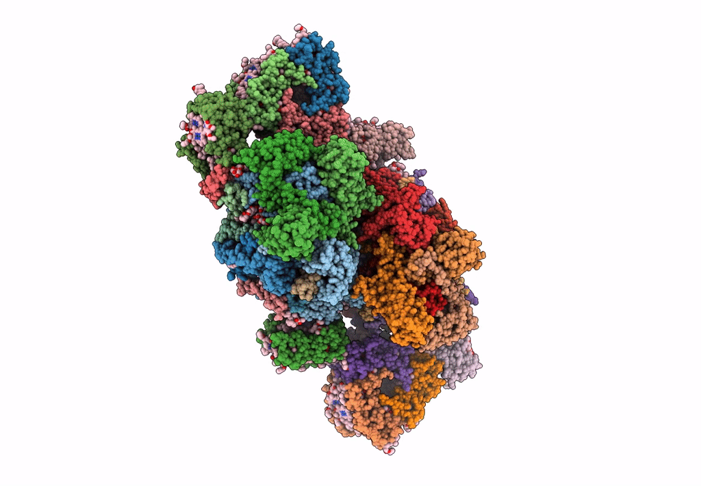 3JCU image