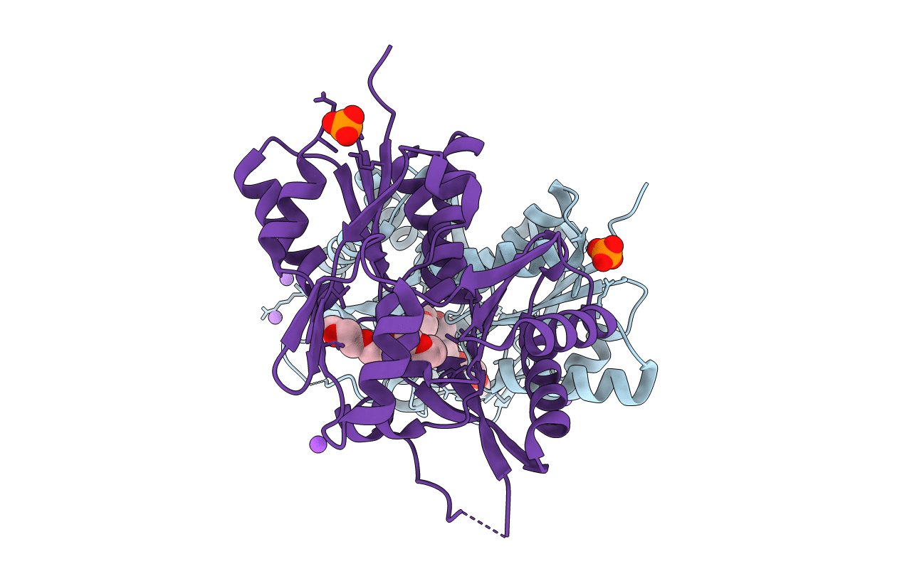 3JR7 image