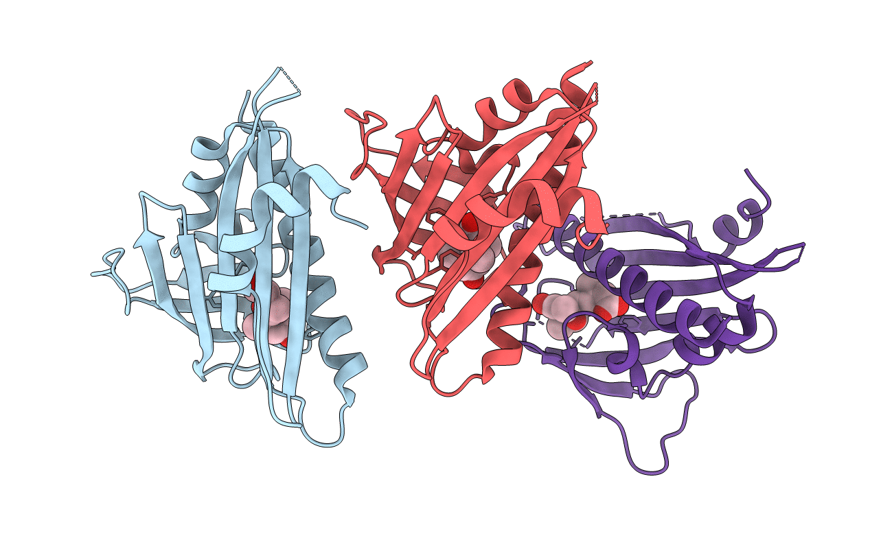 3JRS image