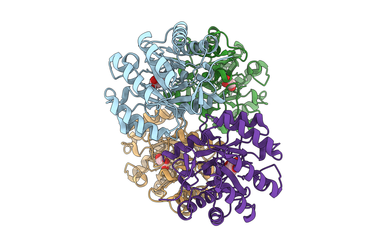 3JS3 image