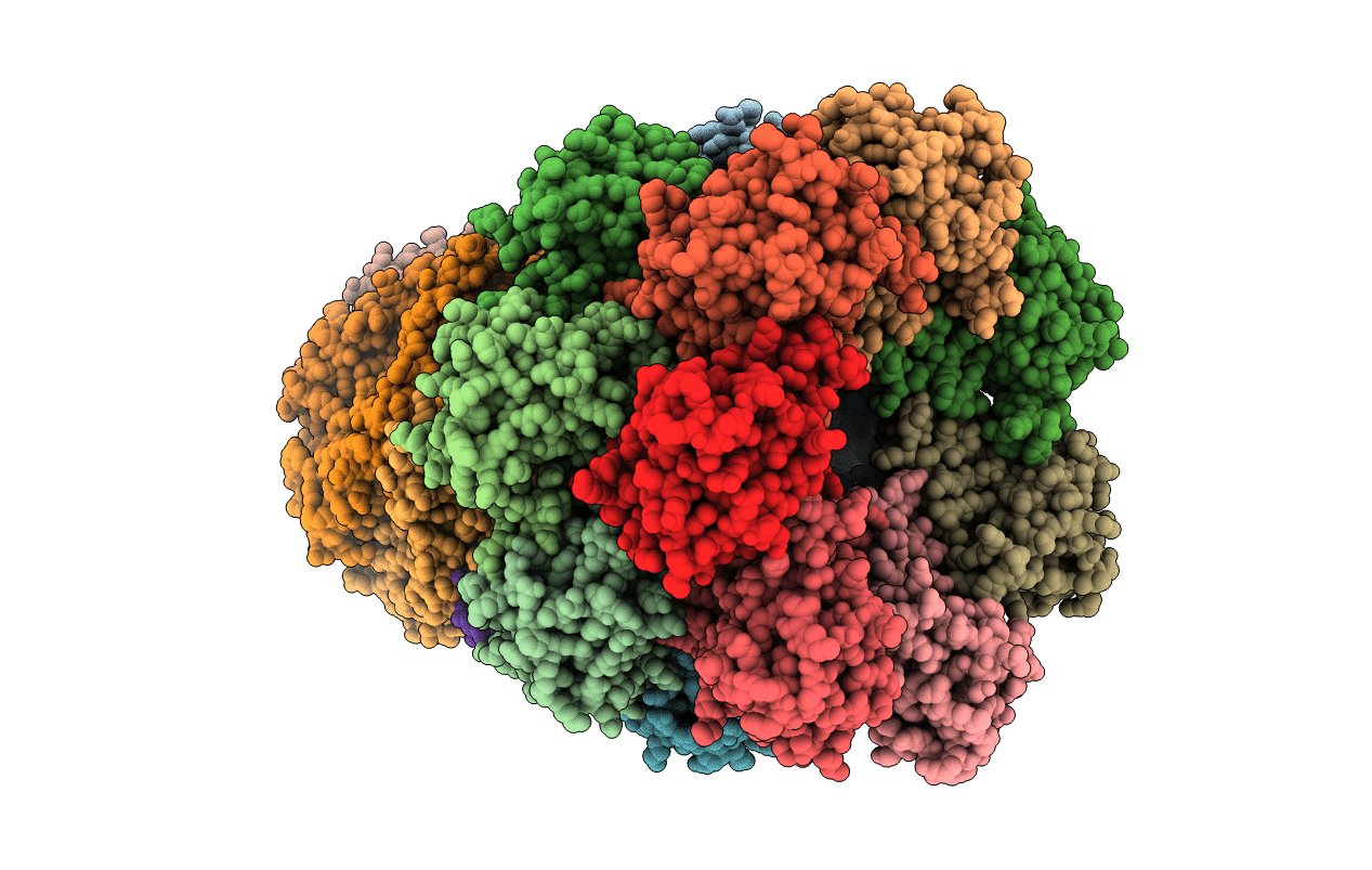 3JTL image