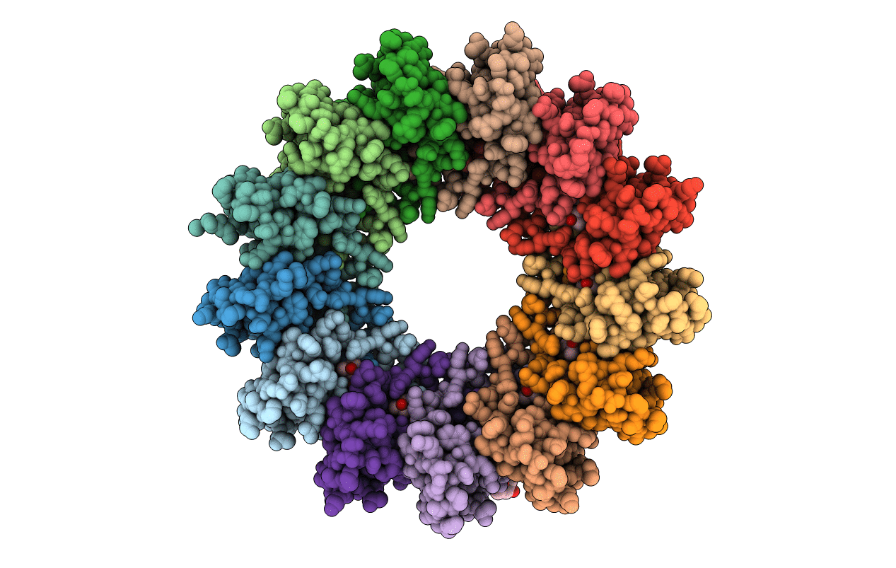 3JVO image