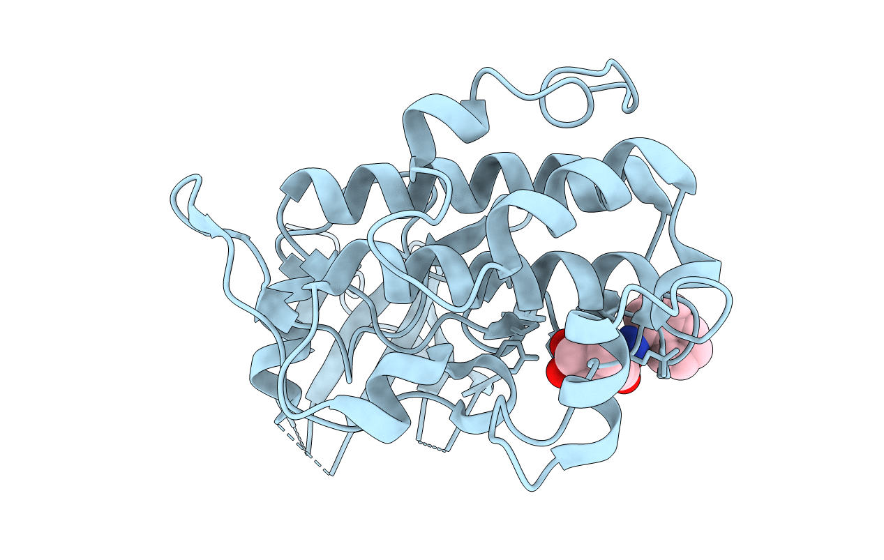 3JVS image