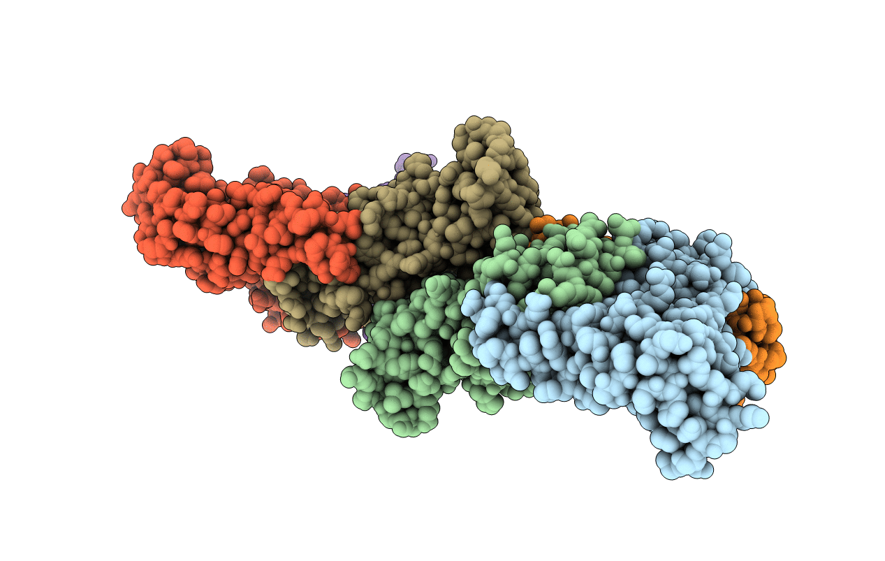 3JYG image