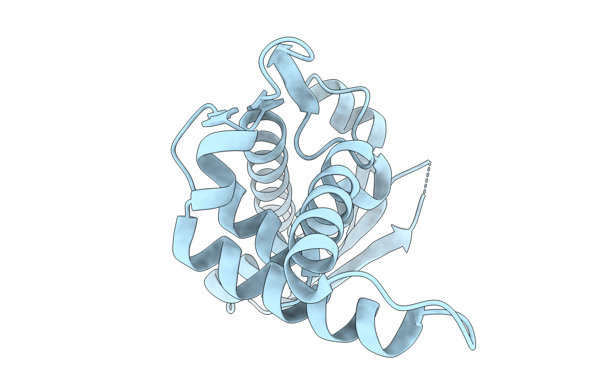 3K10 image