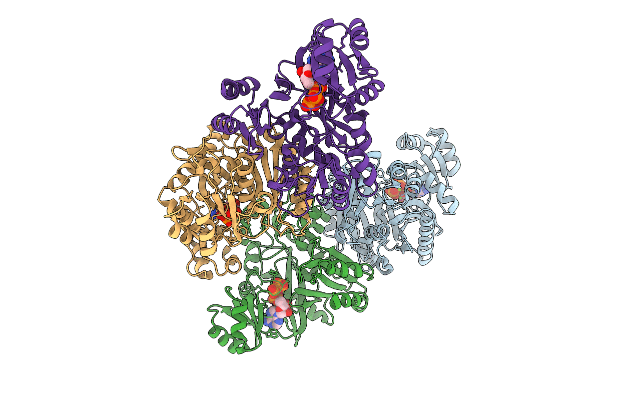 3K5H image