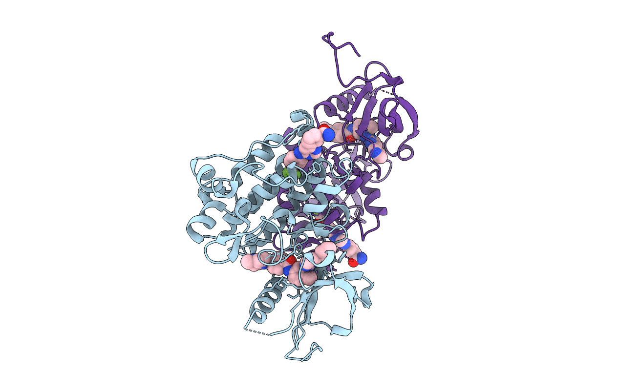 3K5V image