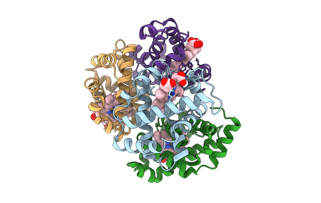 3k8b image
