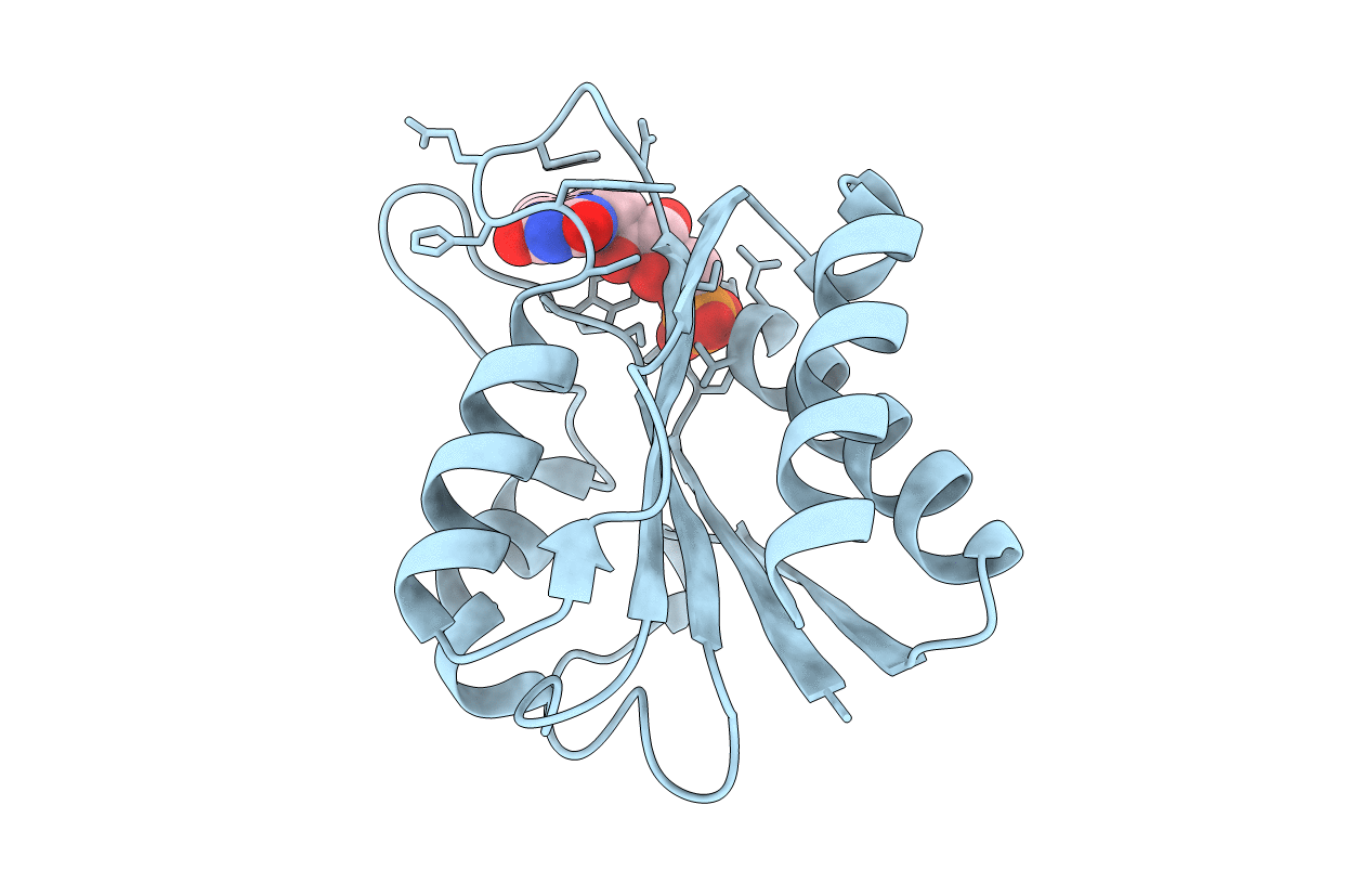 3KAQ image