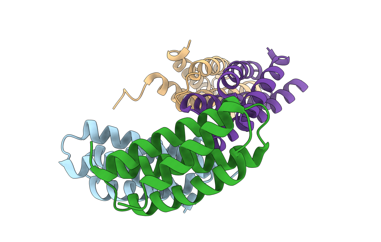 3KAV image