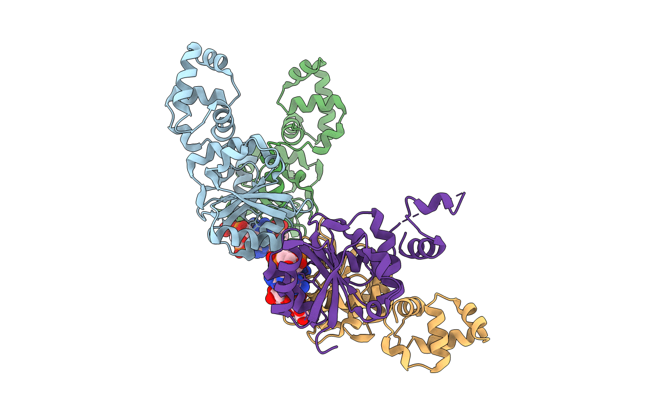 3KLO image