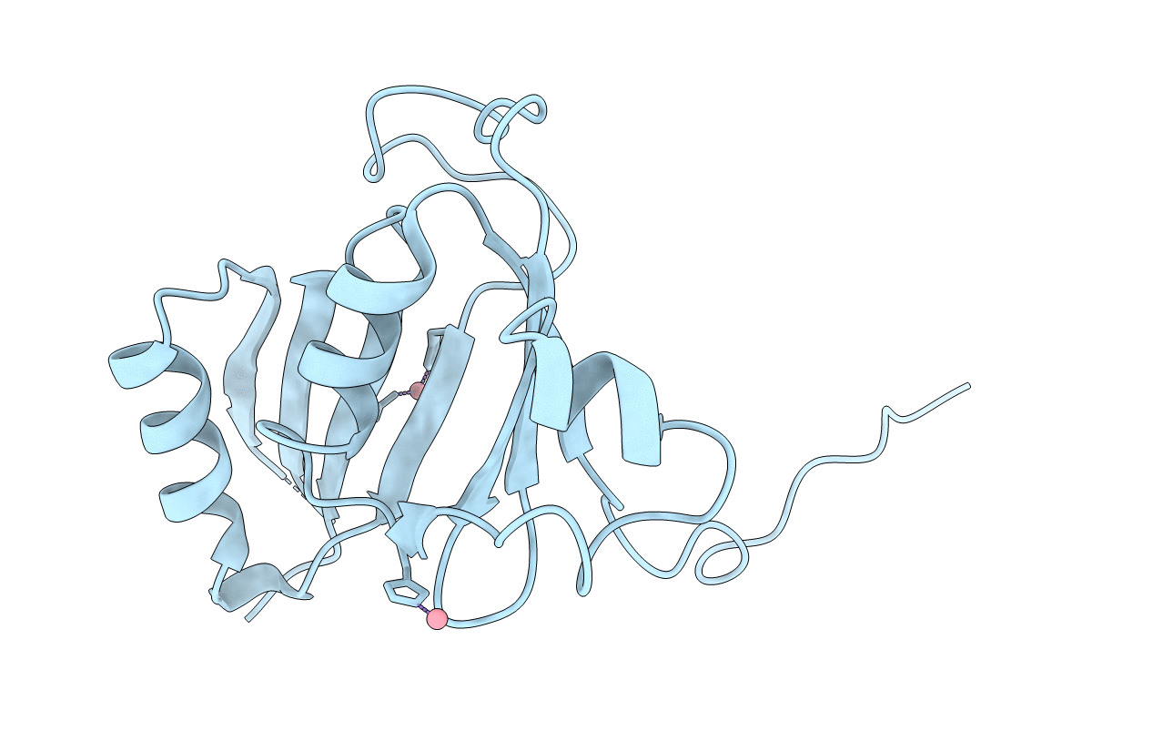 3KOL image