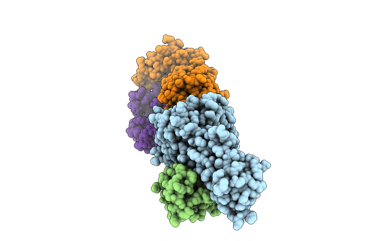 3KPS image