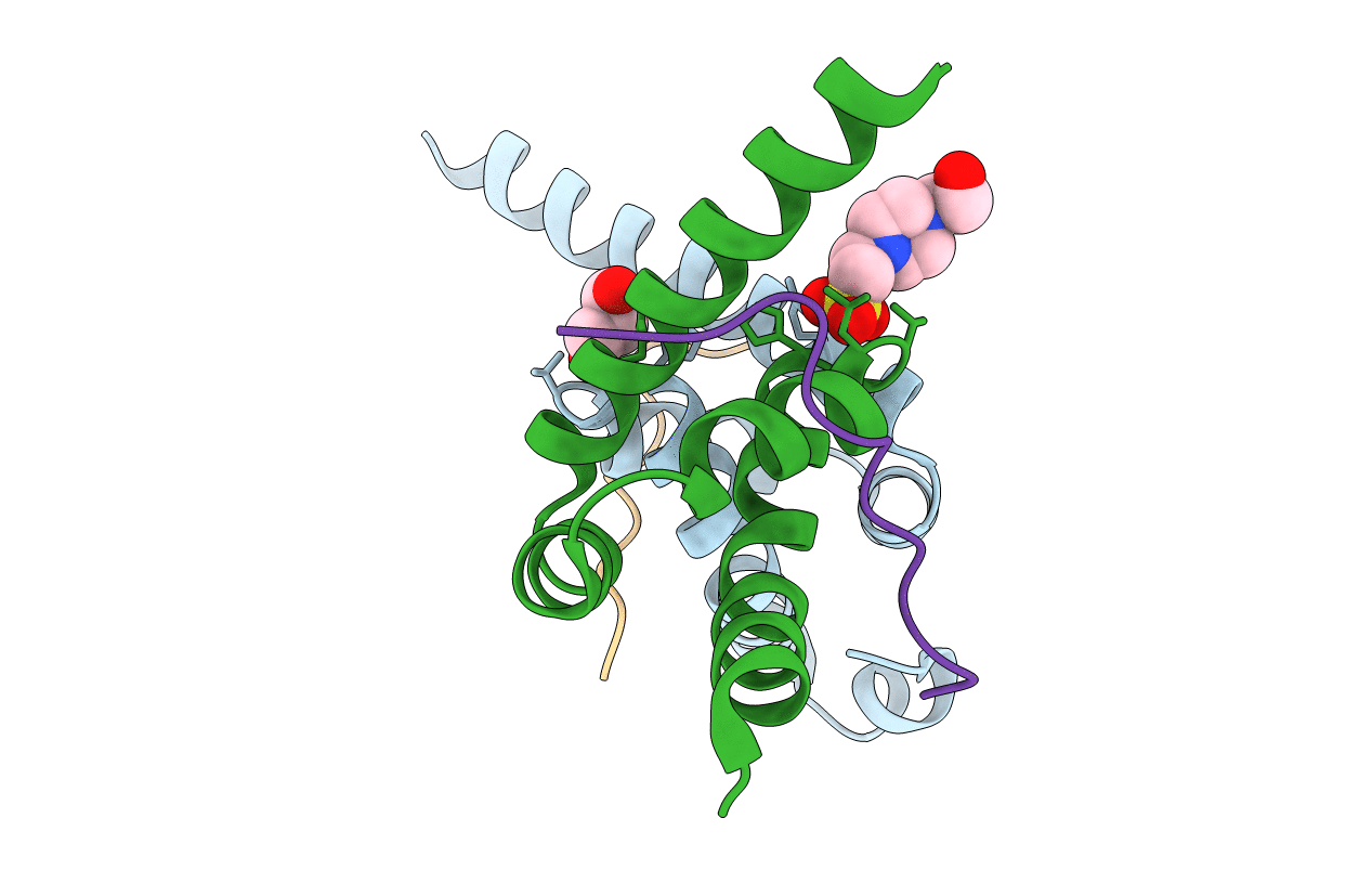 3KUS image