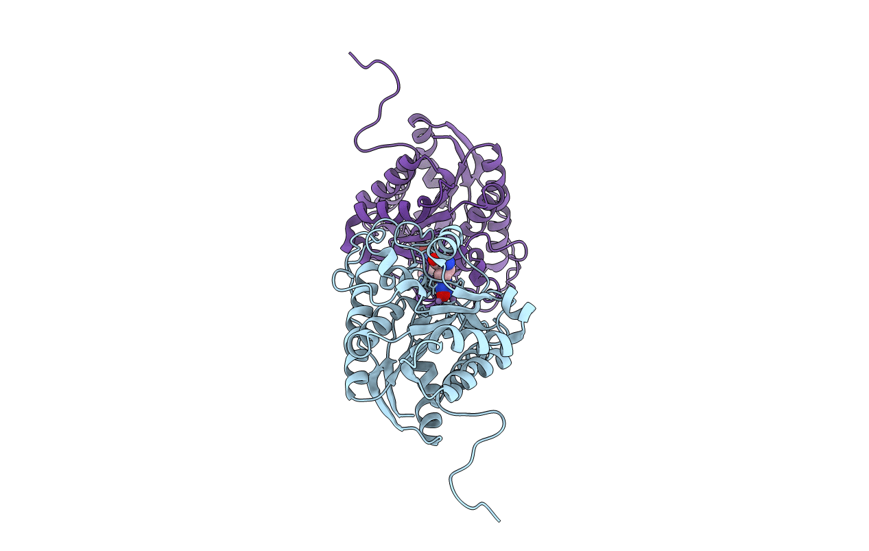 3KV2 image