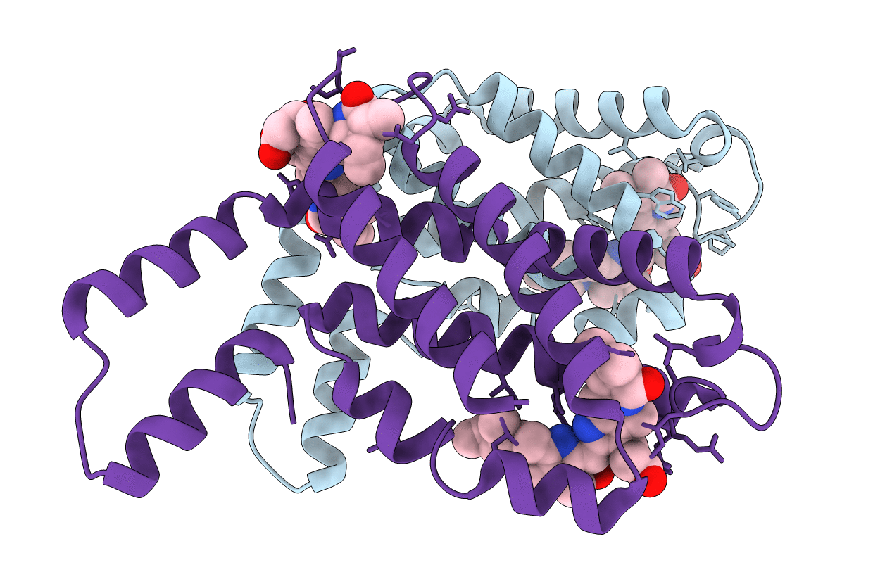 3KVS image