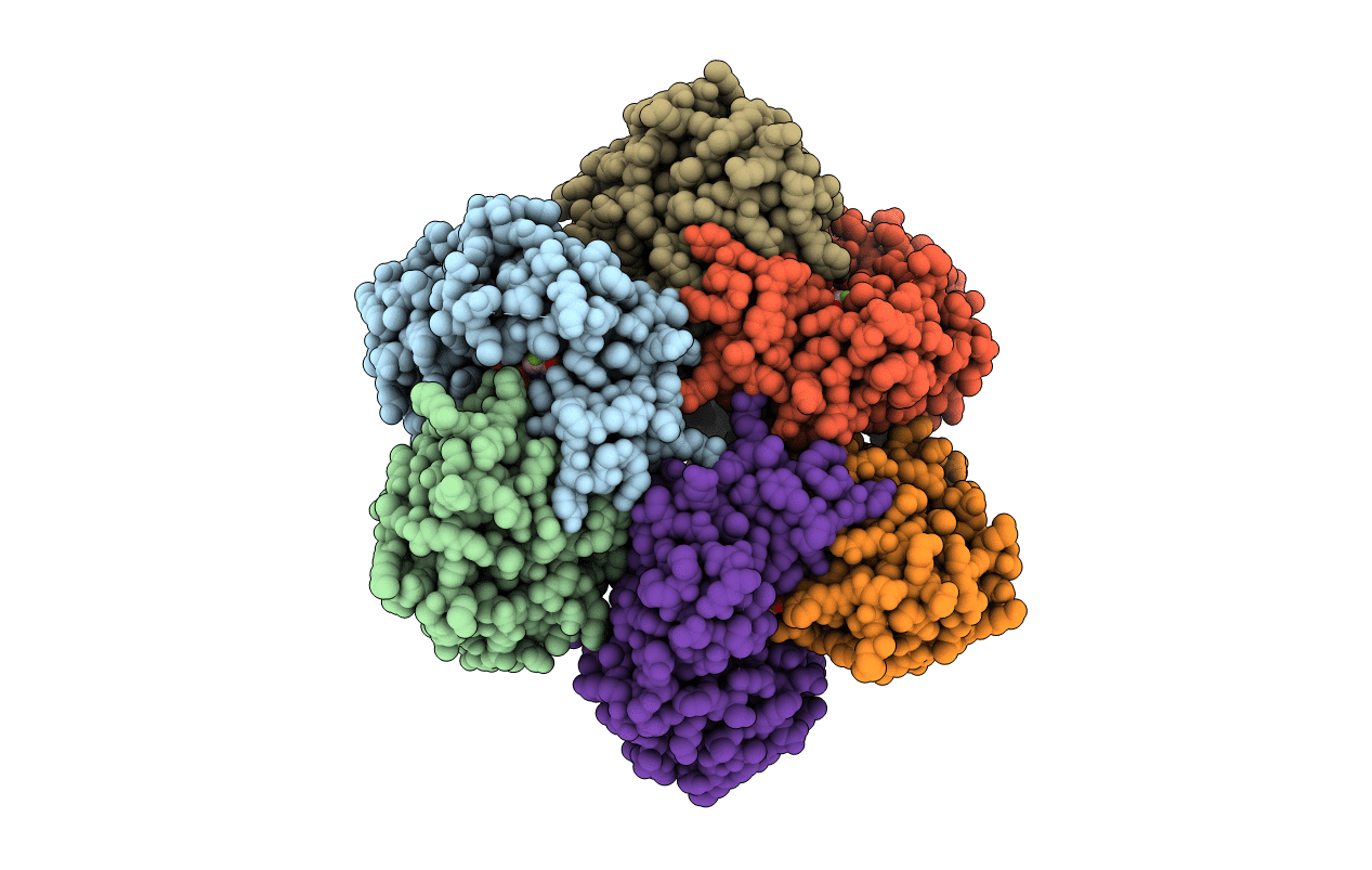 3KVV image