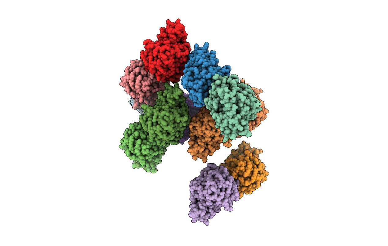 3KXP image