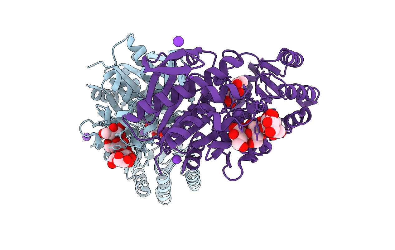 3L01 image