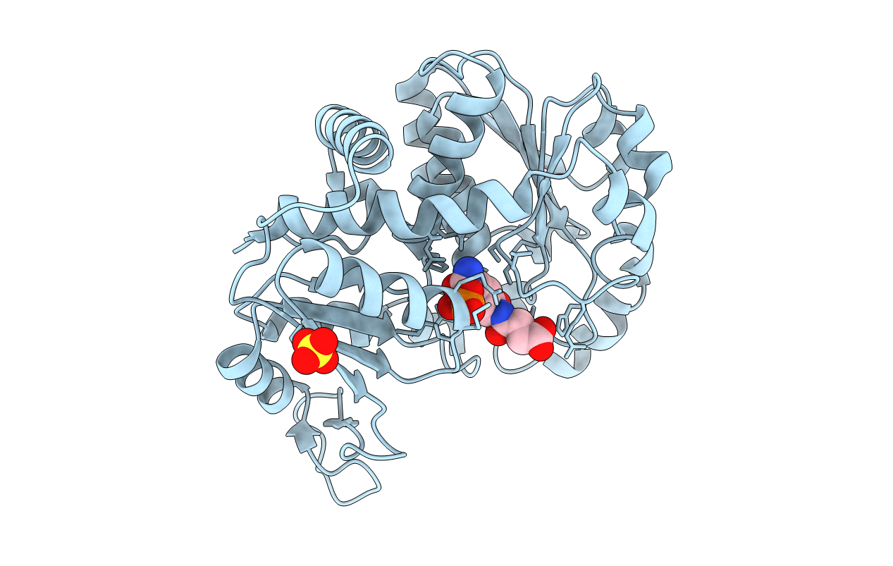 3L06 image