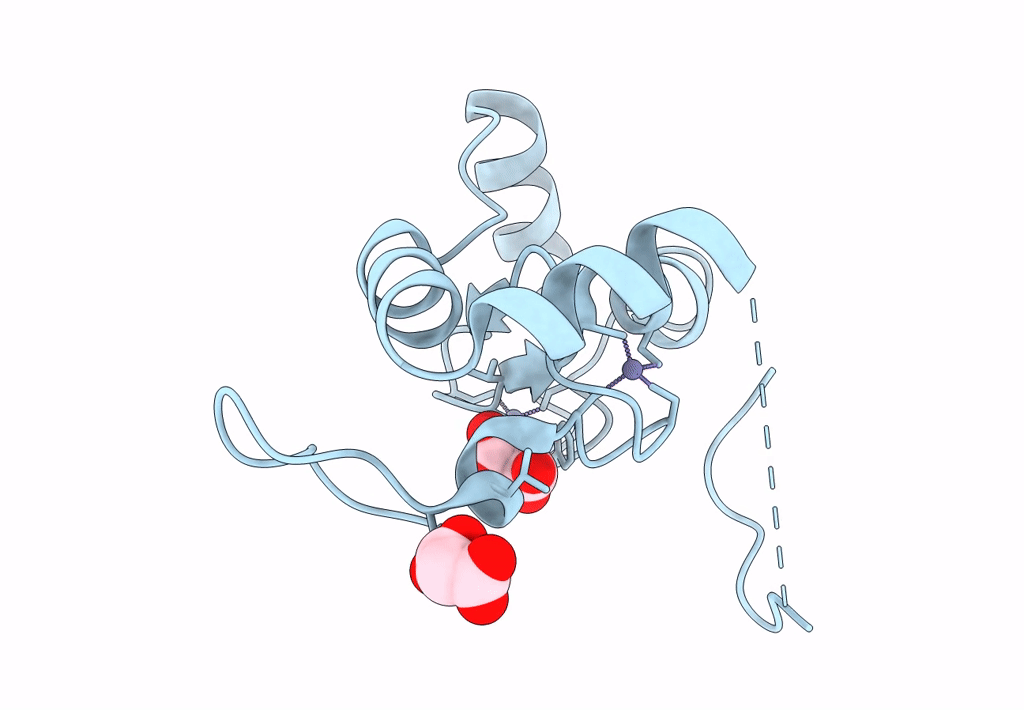3L11 image