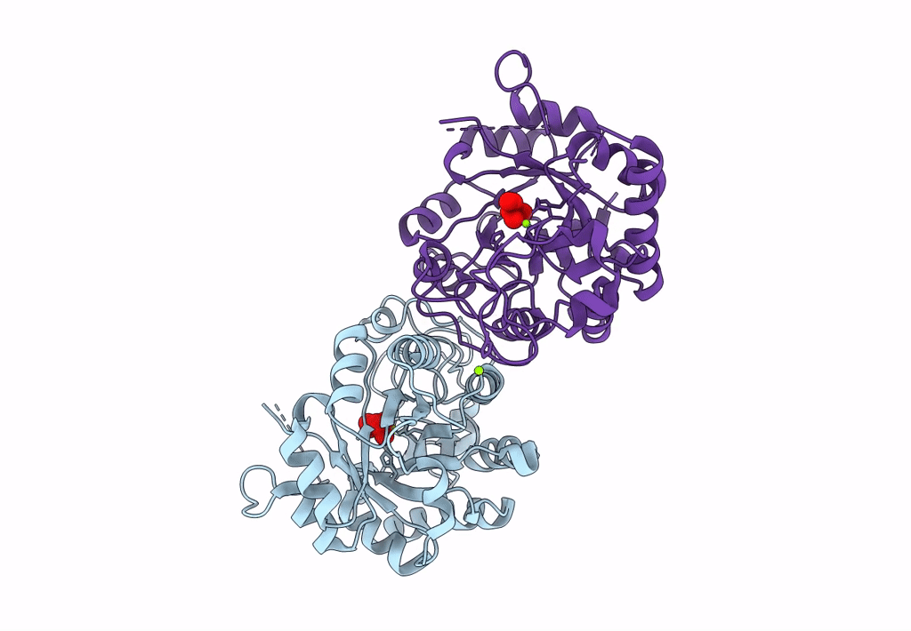 3L12 image