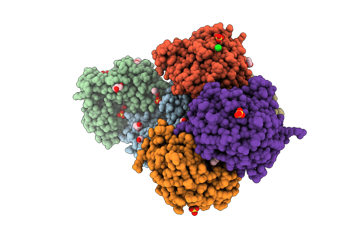 3L21 image