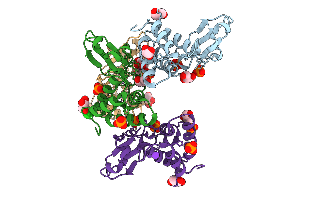 3L27 image