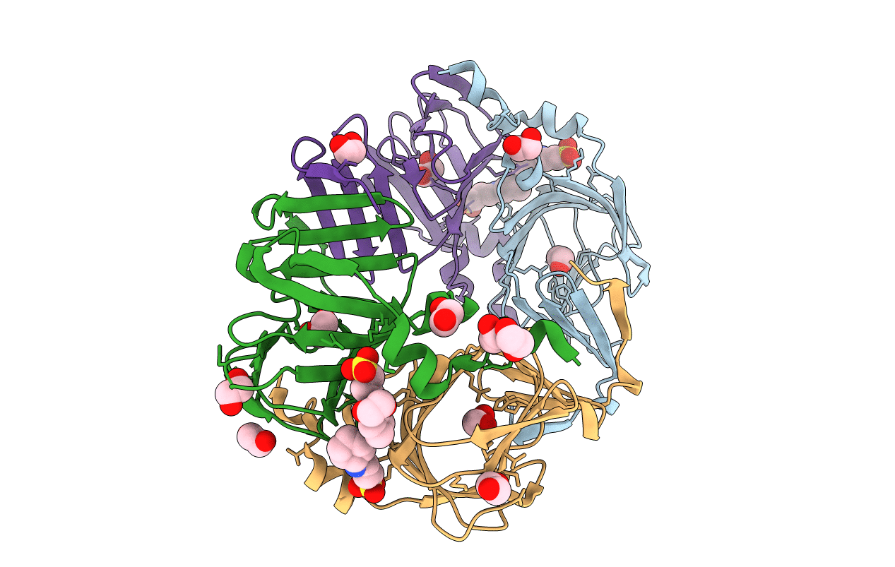 3L2H image