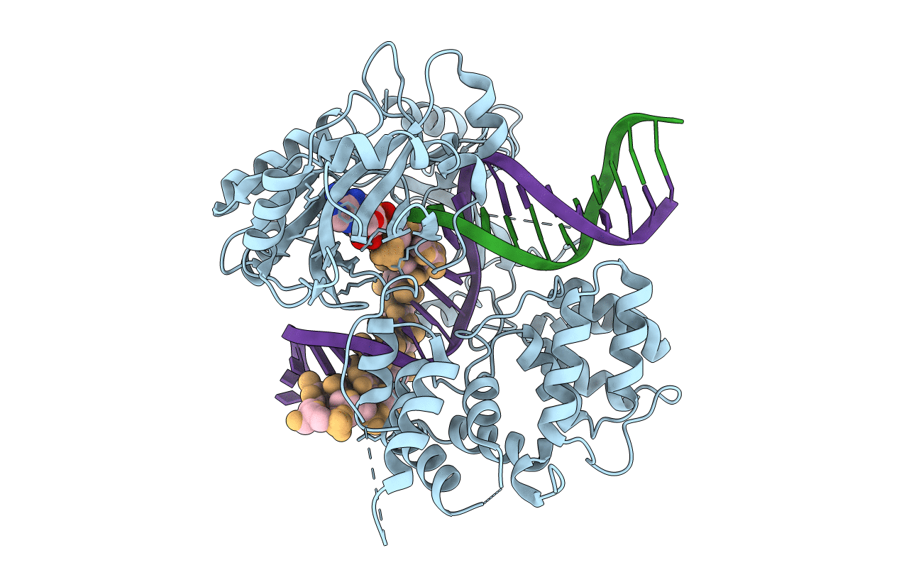 3L2P image