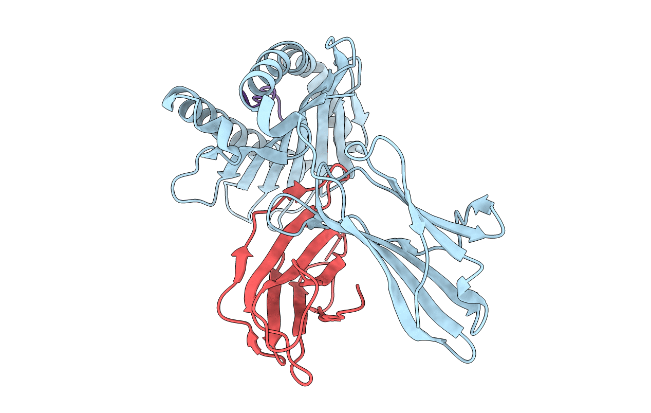 3L3H image