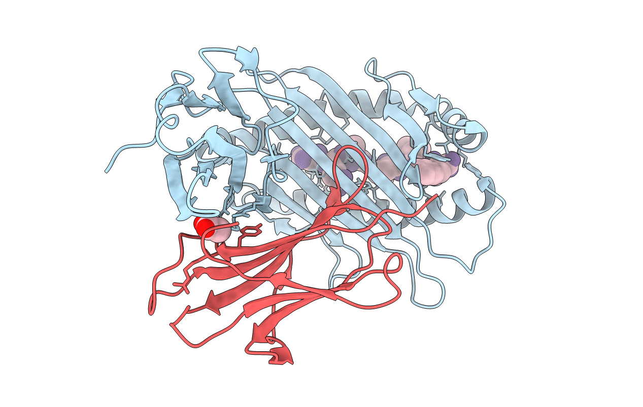3L3J image
