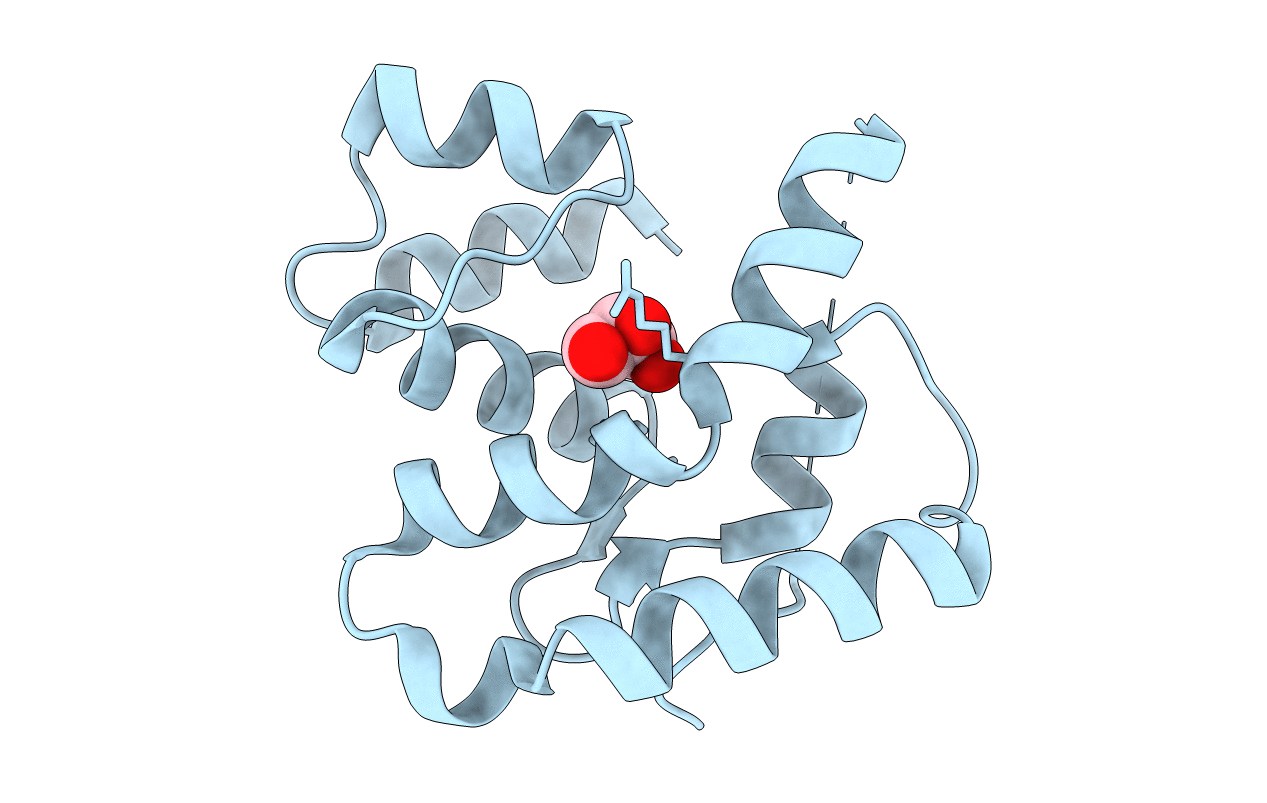3L4A image