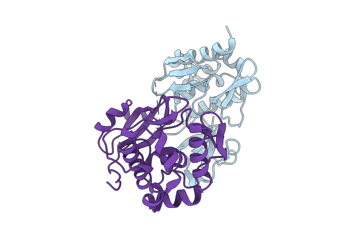3L56 image
