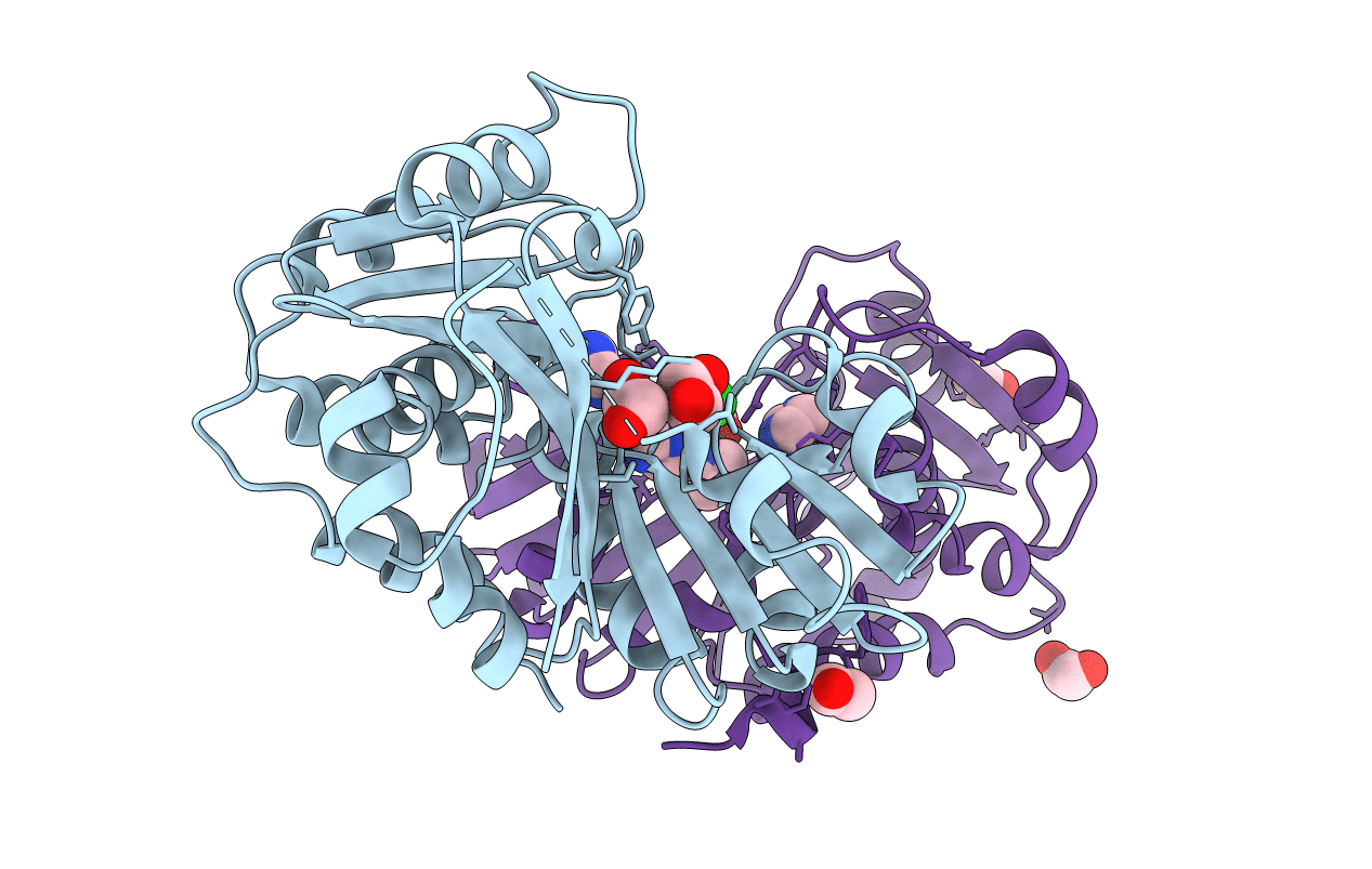 3L5O image