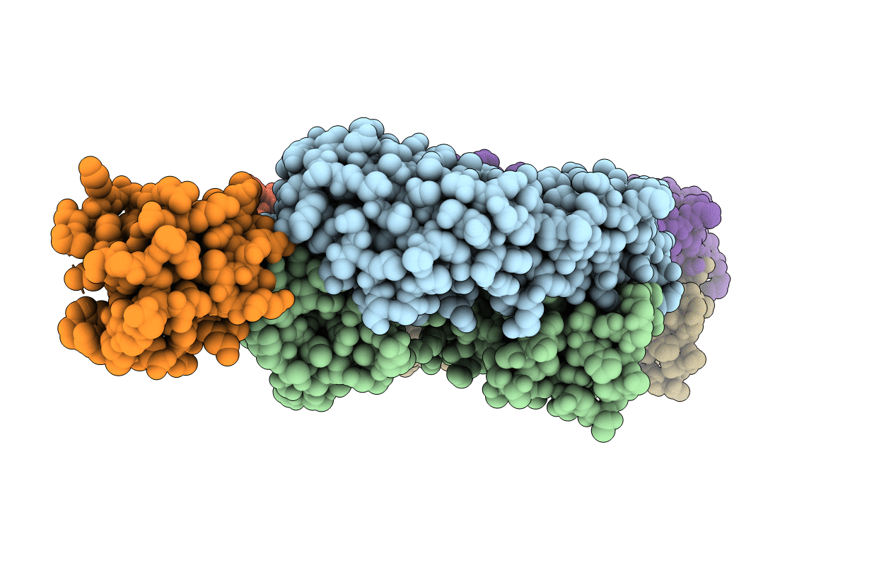 3L5W image