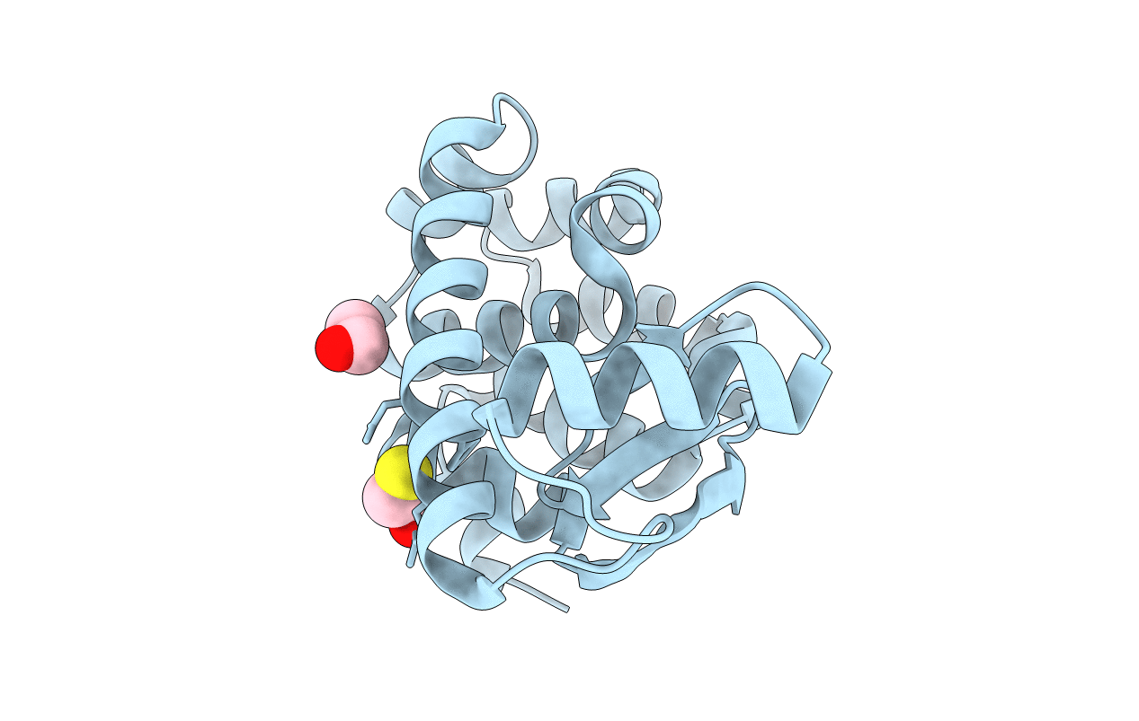 3L64 image
